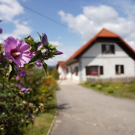 House Of Culture And Nature - Hisa Kulture In Nature Zagradec Eksteriør bilde