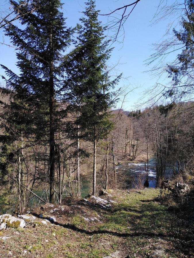 House Of Culture And Nature - Hisa Kulture In Nature Zagradec Eksteriør bilde